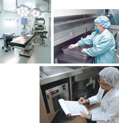 FUMIGADORES DE COMEDORES EN EL DF